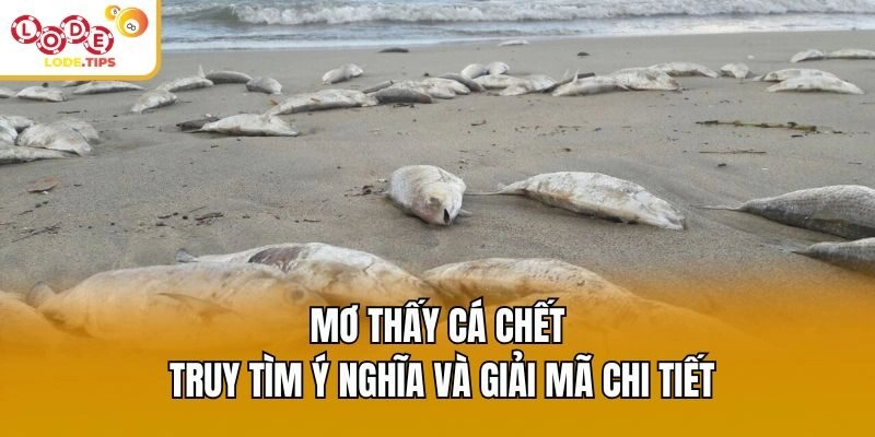 Mơ Thấy Cá Chết – Truy Tìm Ý Nghĩa Và Giải Mã Chi Tiết